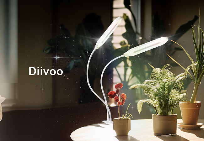 亚马逊植物灯-剑兰款