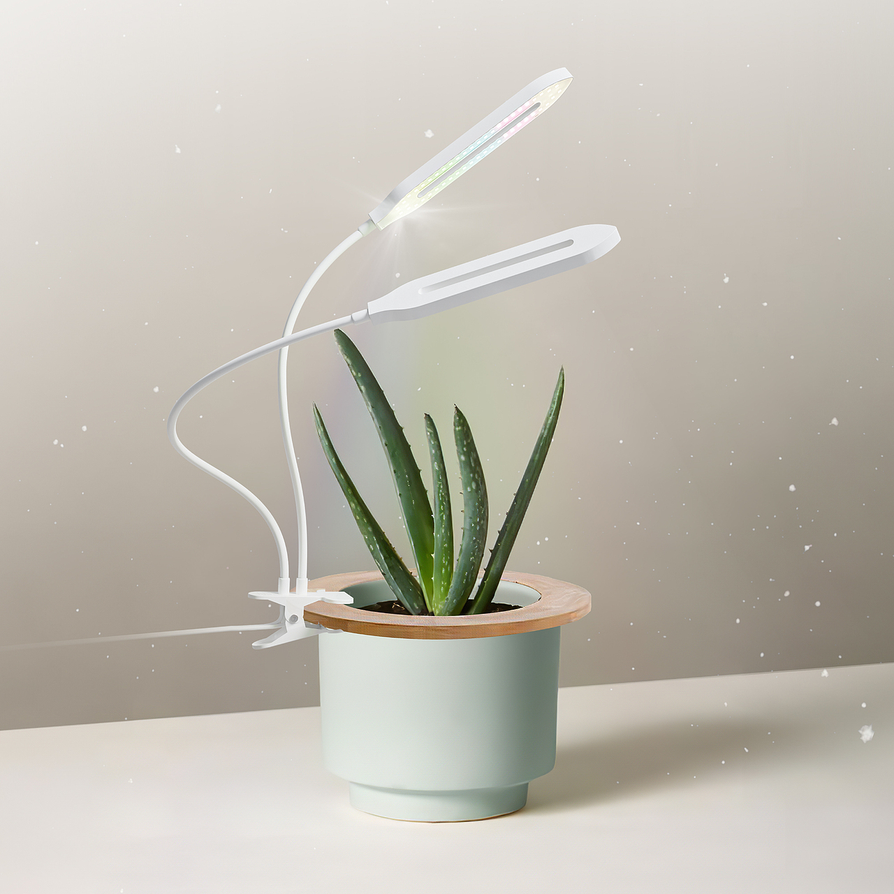 亚马逊植物灯-剑兰款