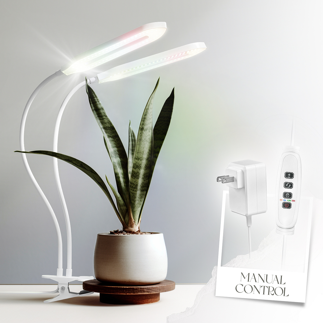 亚马逊植物灯-剑兰款