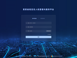 可视化-无人机/飞行服务