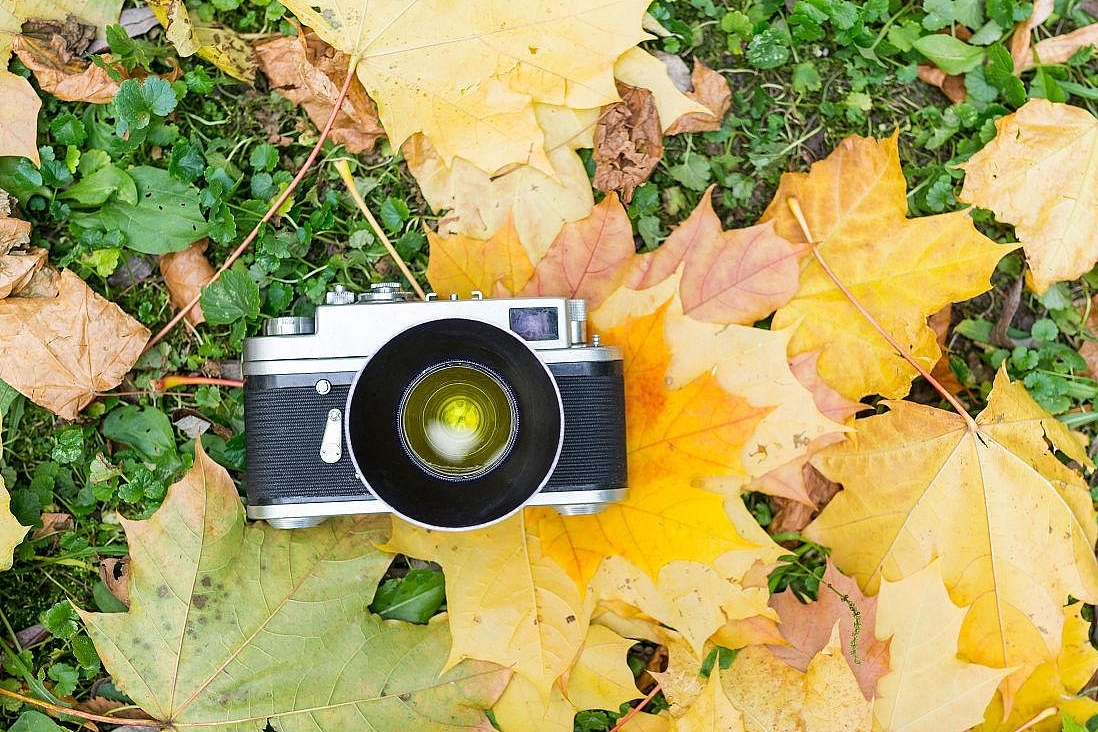 秋叶竟然这么好拍！？学会这6招，轻松拍出氛围感！（图ZMzc4OTQ0ODQ4） - 其他摄影 - 站酷设计师西安王老师摄影原创素材 - 站酷ZCOOL