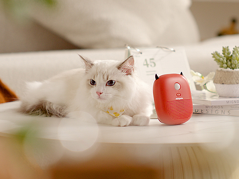Dailypets宠物自动除味器 | 消毒器 |净化器 |电商视频