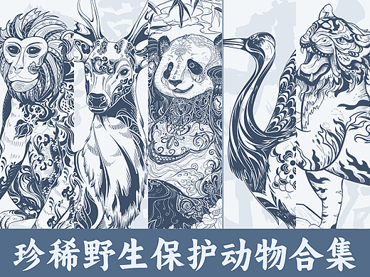 濒危动物版画｜野生保护动物系列插画