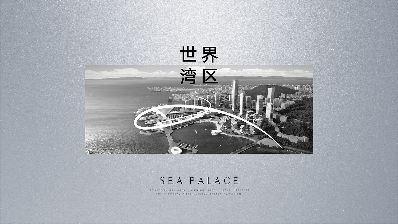 海宸 标志设计&视觉演绎