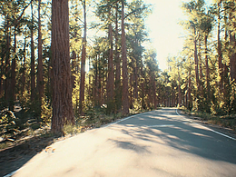 CG三维渲染 HONDA本田E