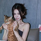 地球喵的头像