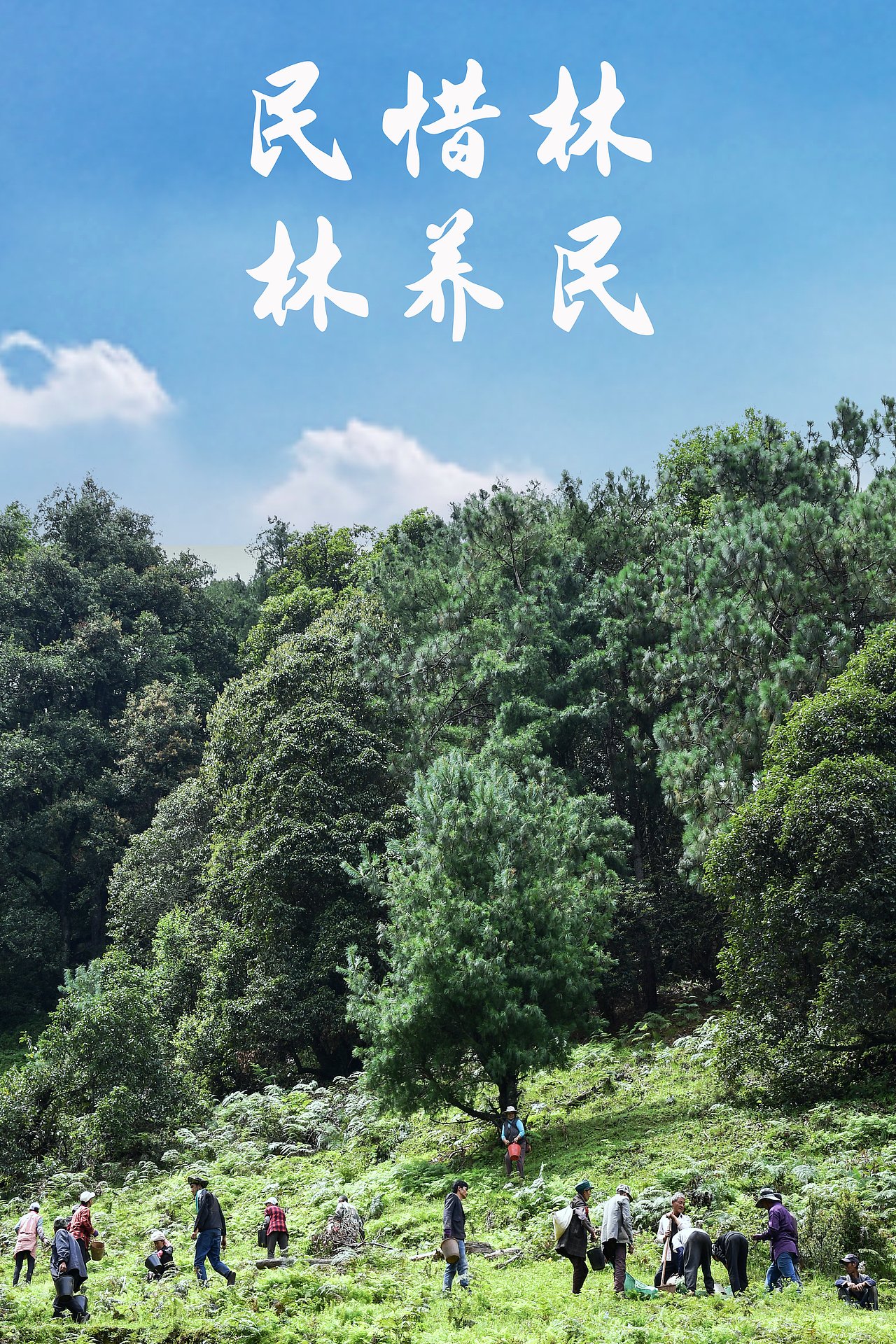 实拍海报（图ZMzc5MDE5NDY4） - 海报 - 站酷设计师泡芙不吃泡芙原创素材 - 站酷ZCOOL