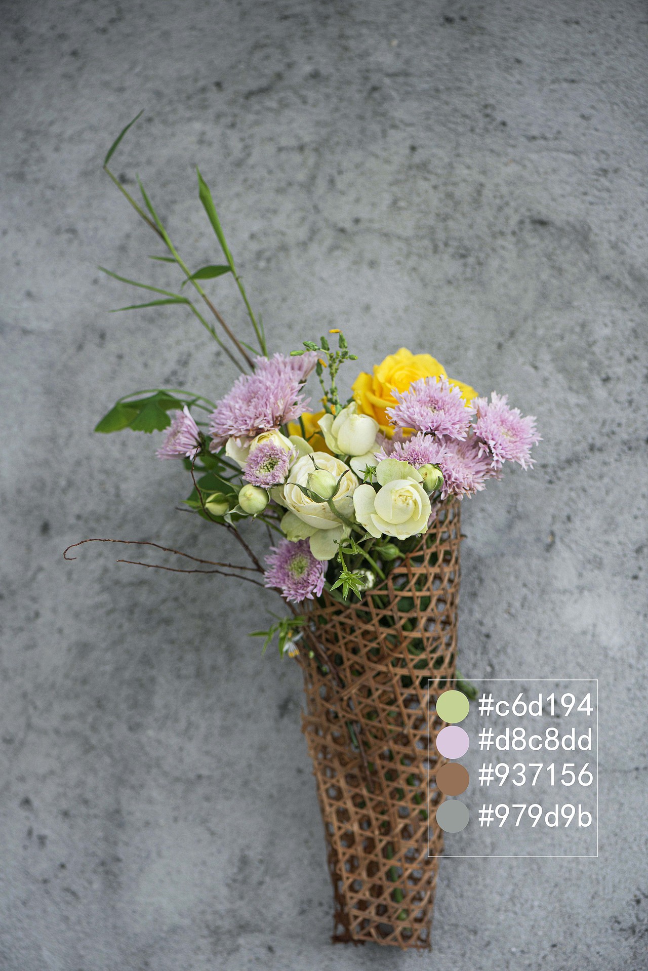 颜色搭配和构图练习(6)