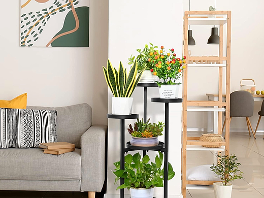 亚马逊产品拍摄其他