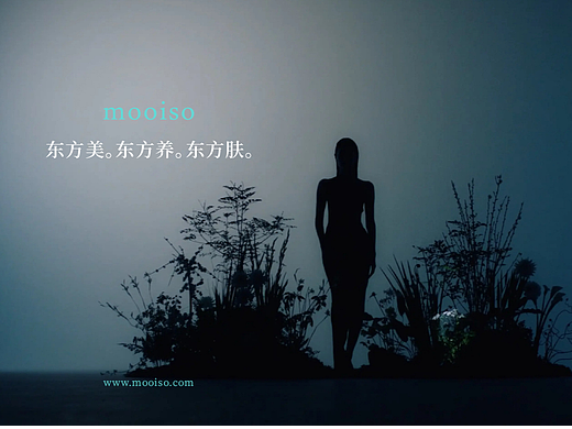猛瘦（汉方代谢调养）品牌视觉形象升级设计