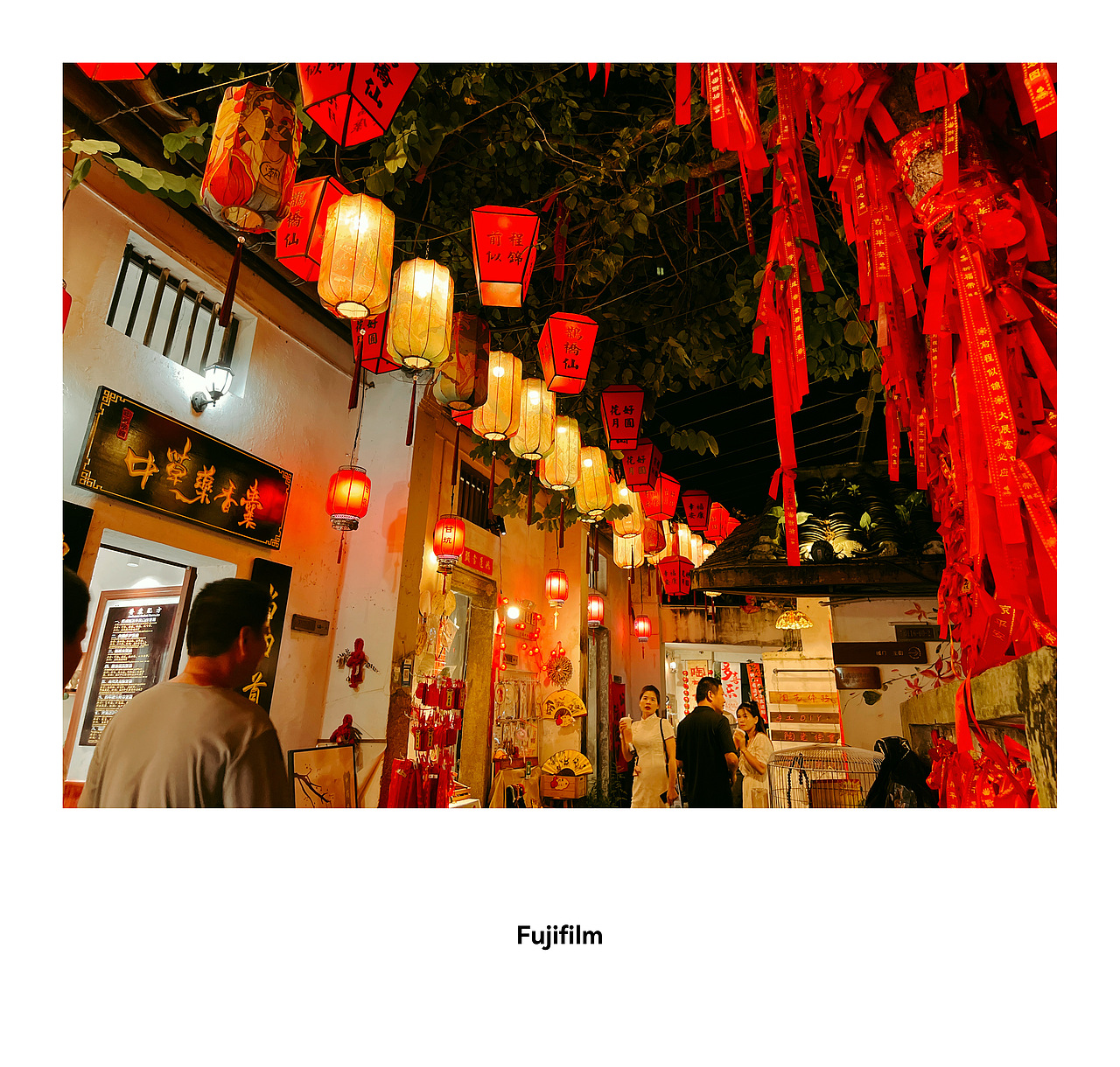 中秋花缘月 | 桂影映人间 ~