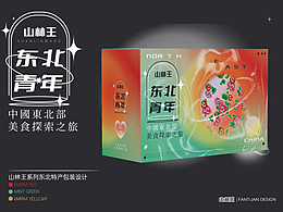 弥散风东北特产包装设计