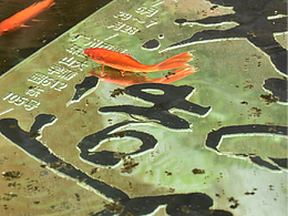 文字造像书法展——动态海报