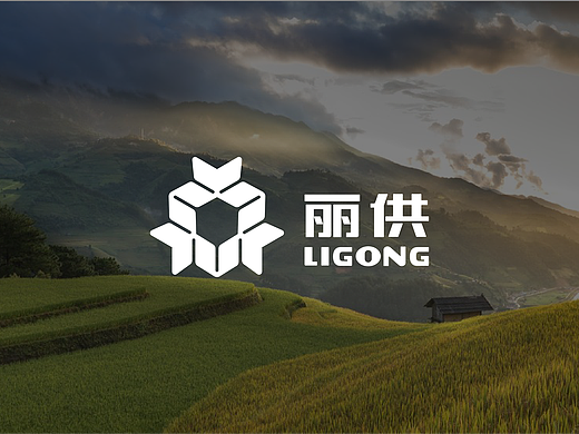 并行致远 x 天津市东丽区供销社｜品牌策划设计
