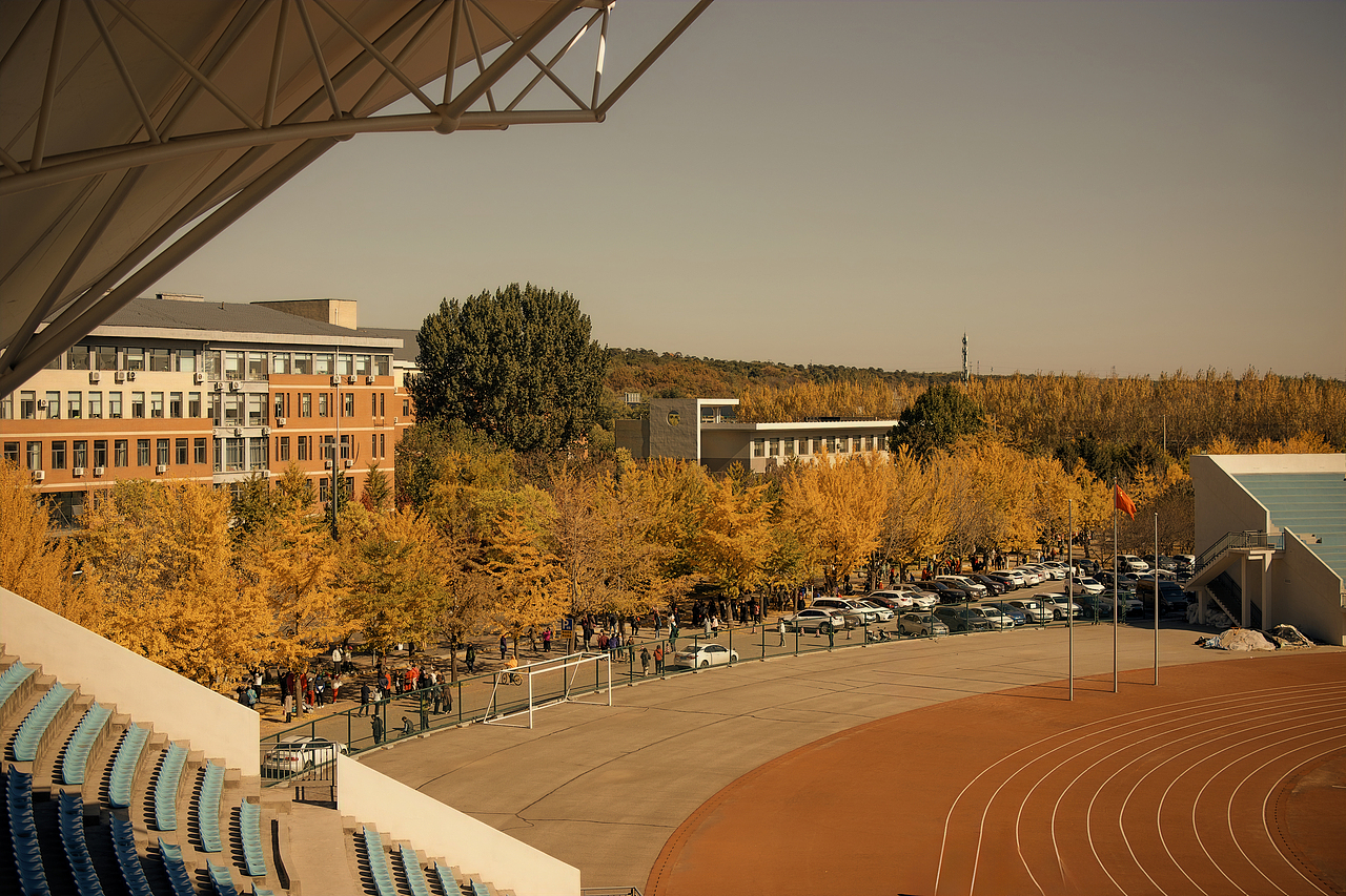 淡淡的风,淡淡的云,淡淡的心情,这是秋天!
