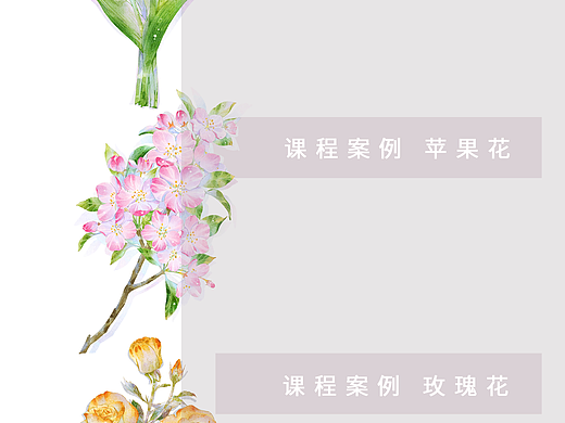 我的水彩花卉课