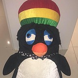 用戶頭像