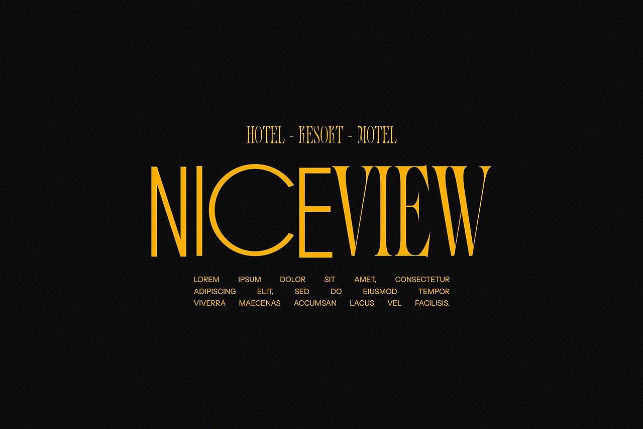 现代优雅时尚婚礼请柬邀请函海报标题衬线英文字体