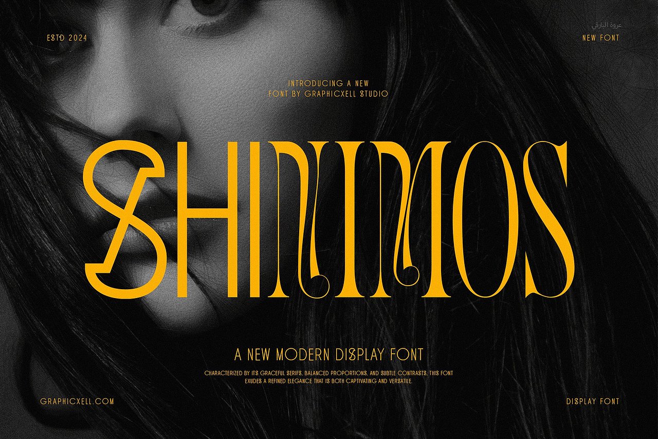 现代优雅时尚婚礼请柬邀请函海报标题衬线英文字体