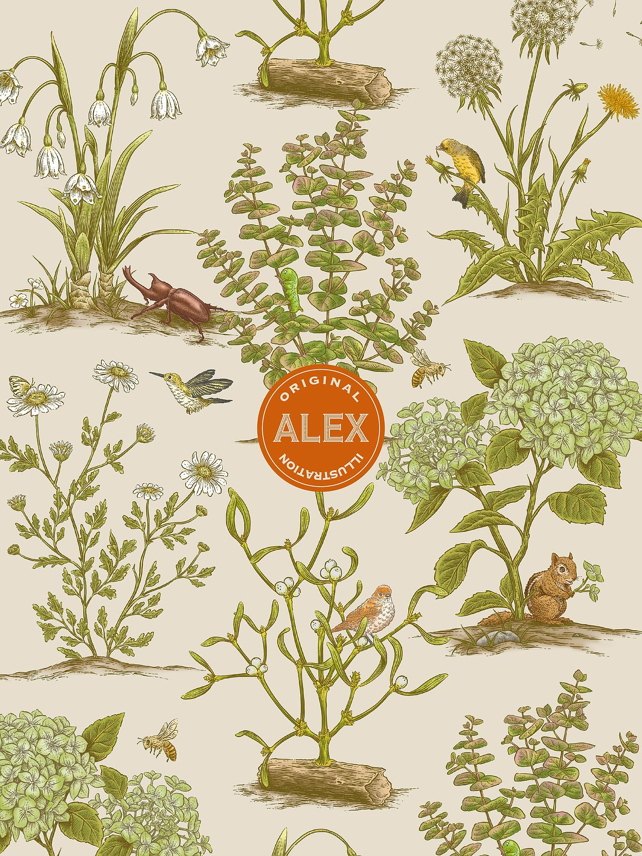 Forestletter品牌插画（图ZMzc5MjY1MjEy） - 商业插画 - 站酷设计师花椒的Alex原创素材 - 站酷ZCOOL