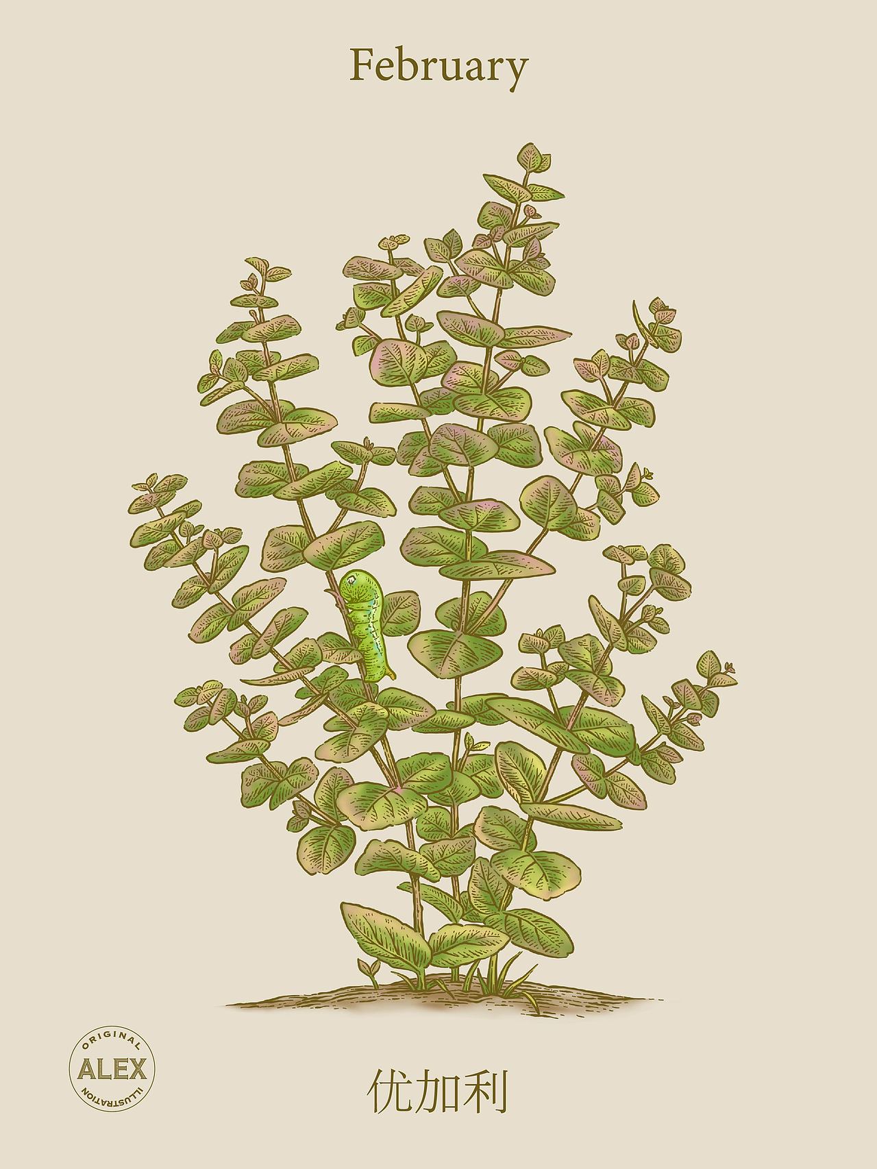 Forestletter品牌插画（图ZMzc5MjY1MjI0） - 商业插画 - 站酷设计师花椒的Alex原创素材 - 站酷ZCOOL