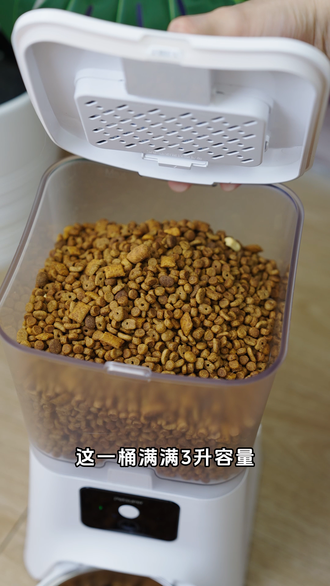 喂食器拍摄制作