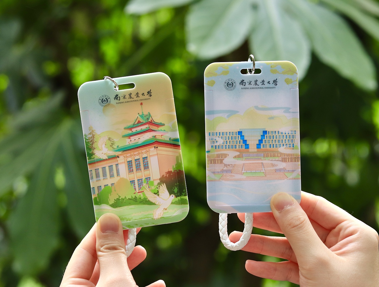 南京农业大学卡套设计💫