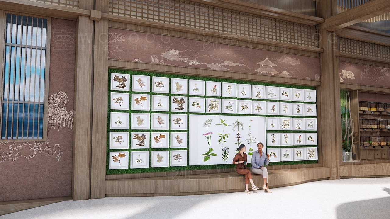 中医文化主题园地