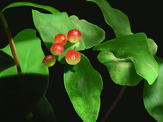 板绘临摹（个人主页-ZNzA2MzU1NTY=） - 创作习作 - 站酷设计师所望皆梦原创素材 - 站酷ZCOOL