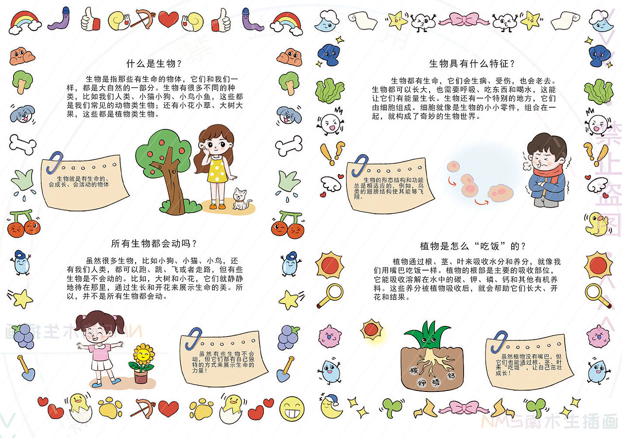 奇趣生物启蒙|生物的基本特征(商稿已出版)