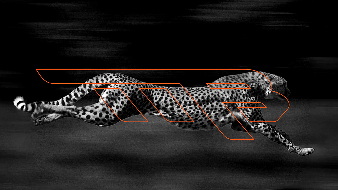 快来感受！运动潮牌创意视觉设计！（图ZMzc5MzI4MDU2） - 品牌 - 站酷设计师myll60原创素材 - 站酷ZCOOL