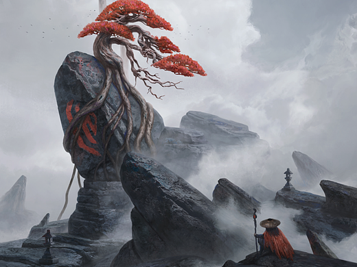 红树