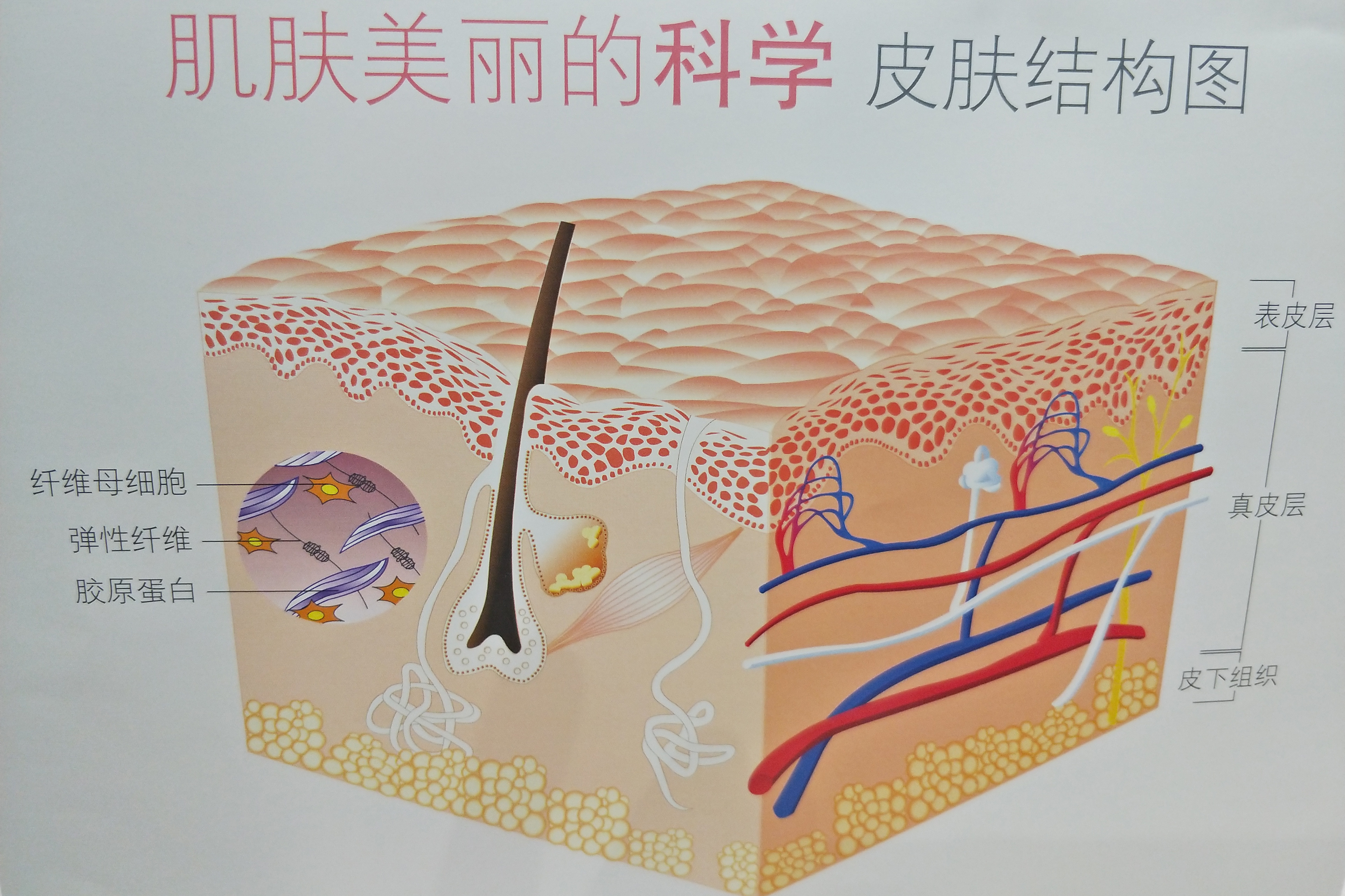 作为女生，如何选择自己合适的护肤品？