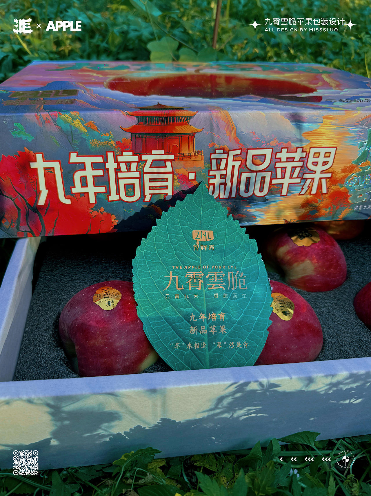 苹果包装设计苹果插画水果包装设计
