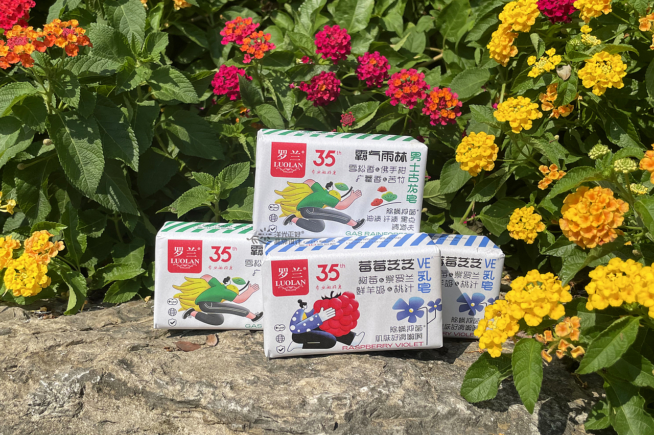 包装 香皂包装设计 日化包装 产品包装设计 vi vi设计(图ZMzc5MzYwMzA0) - 品牌 - 站酷设计师郑昌洪品牌vi包装原创素材 - 站酷ZCOOL