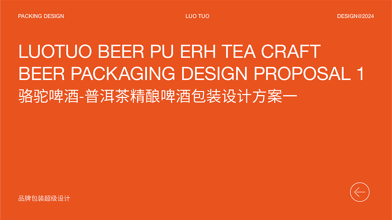 骆驼啤酒·普洱茶精酿啤酒创新产品策划