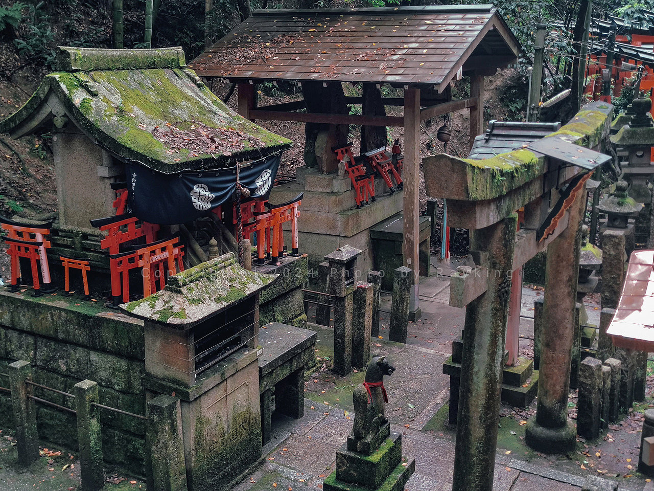 伏见稻荷大社-千本鸟居