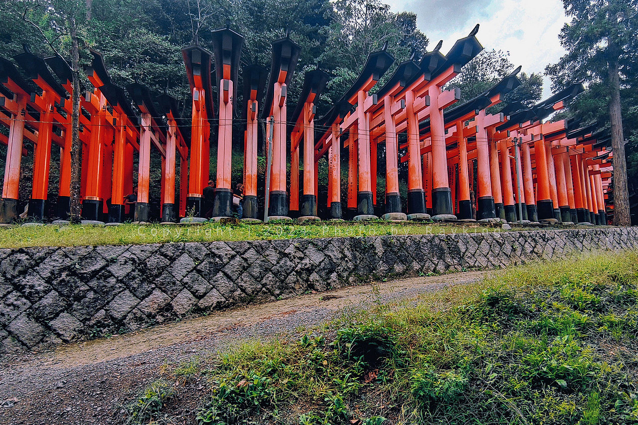 伏见稻荷大社-千本鸟居