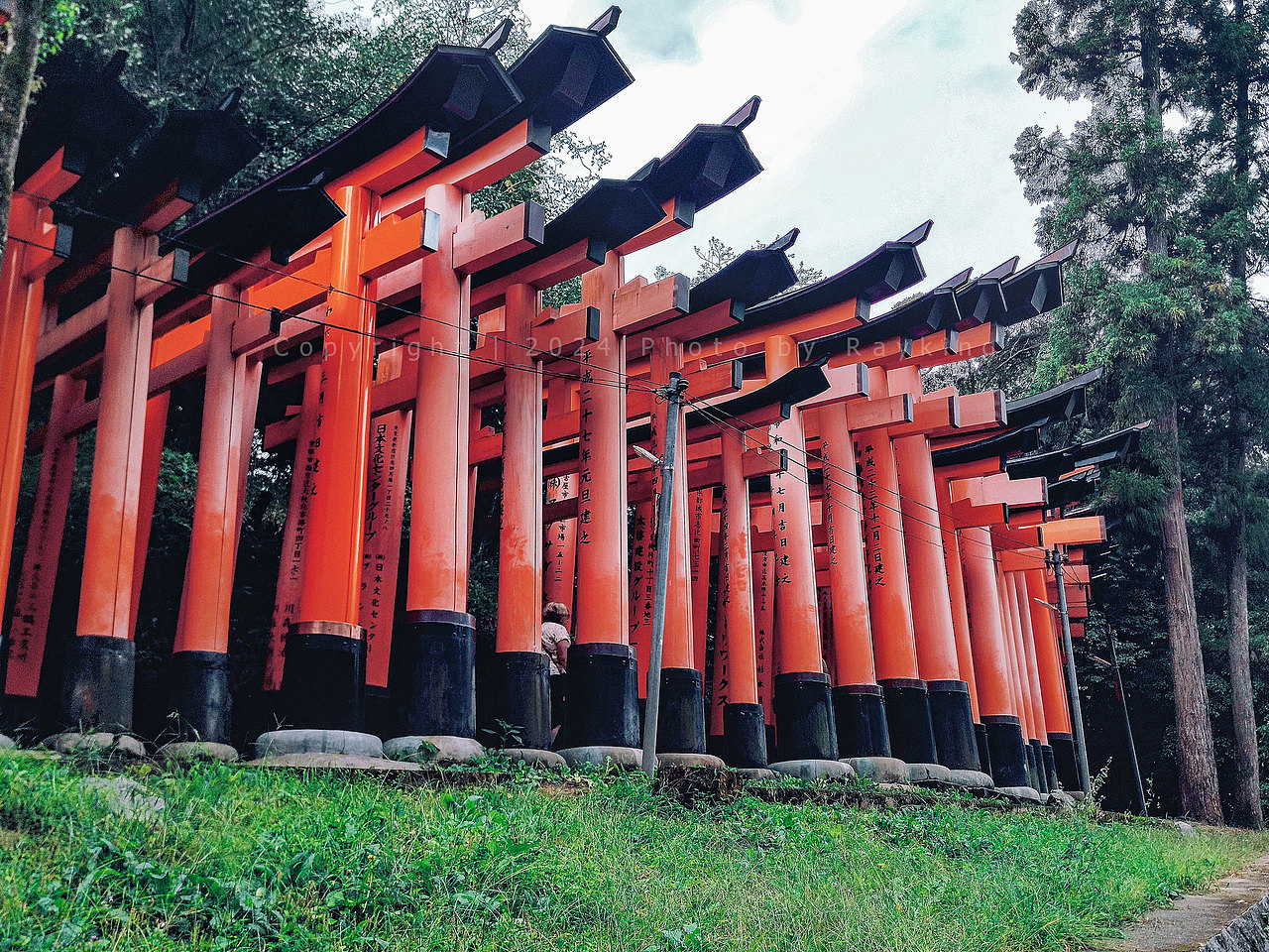 伏见稻荷大社-千本鸟居