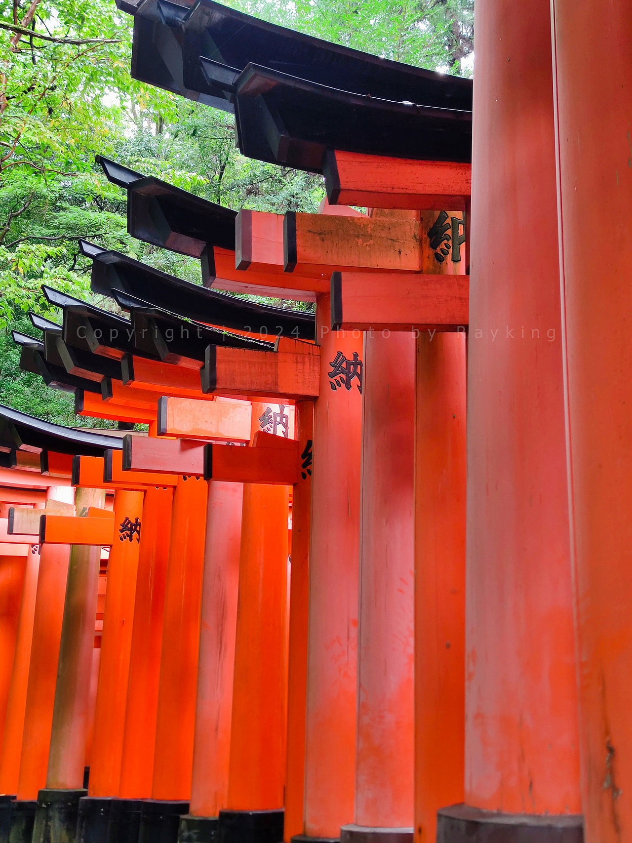 伏见稻荷大社-千本鸟居