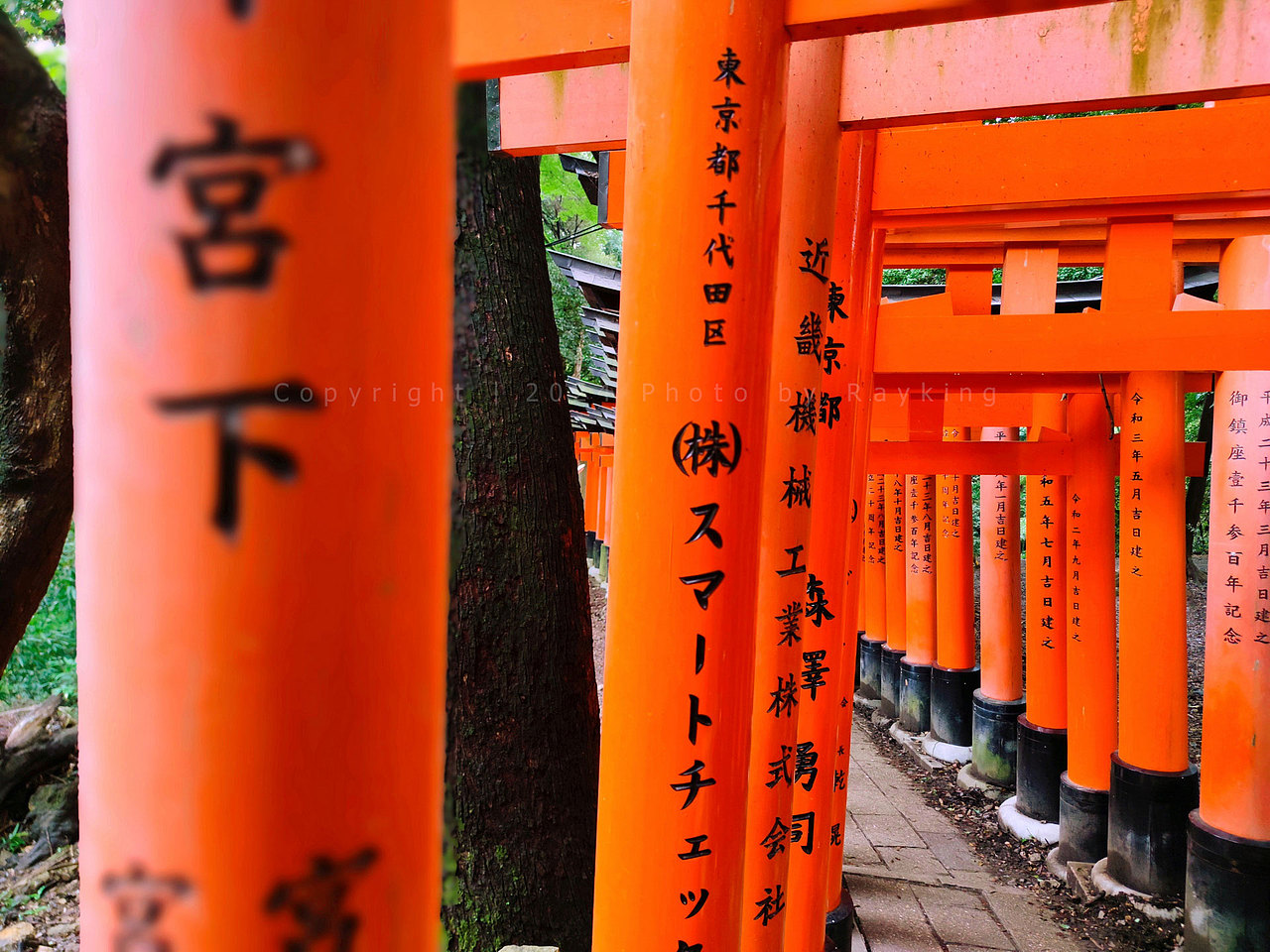 伏见稻荷大社-千本鸟居