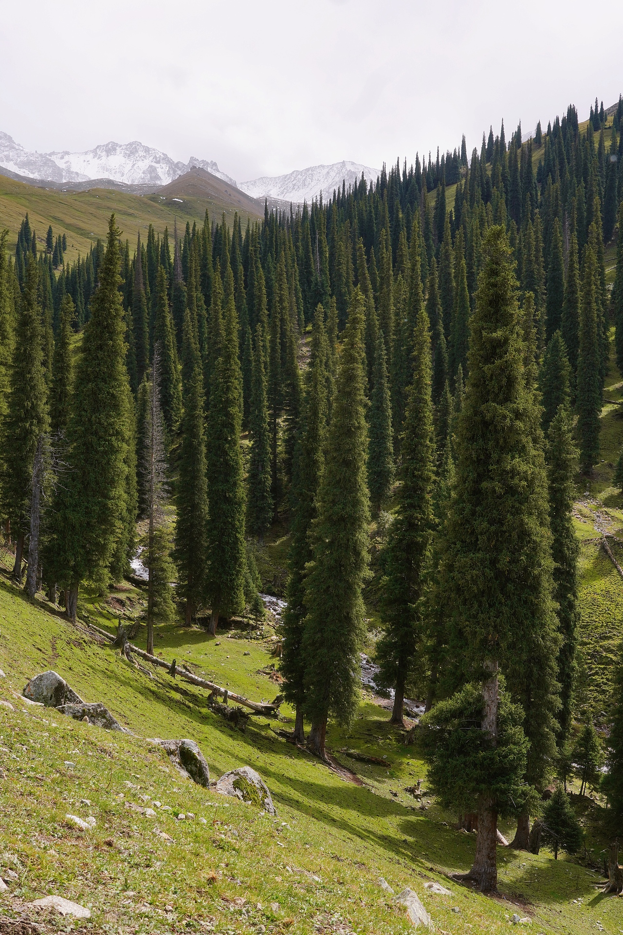 我看到的新疆（图ZMzc5MzY4ODc2） - 风光摄影 - 站酷设计师老黄橘猫原创素材 - 站酷ZCOOL