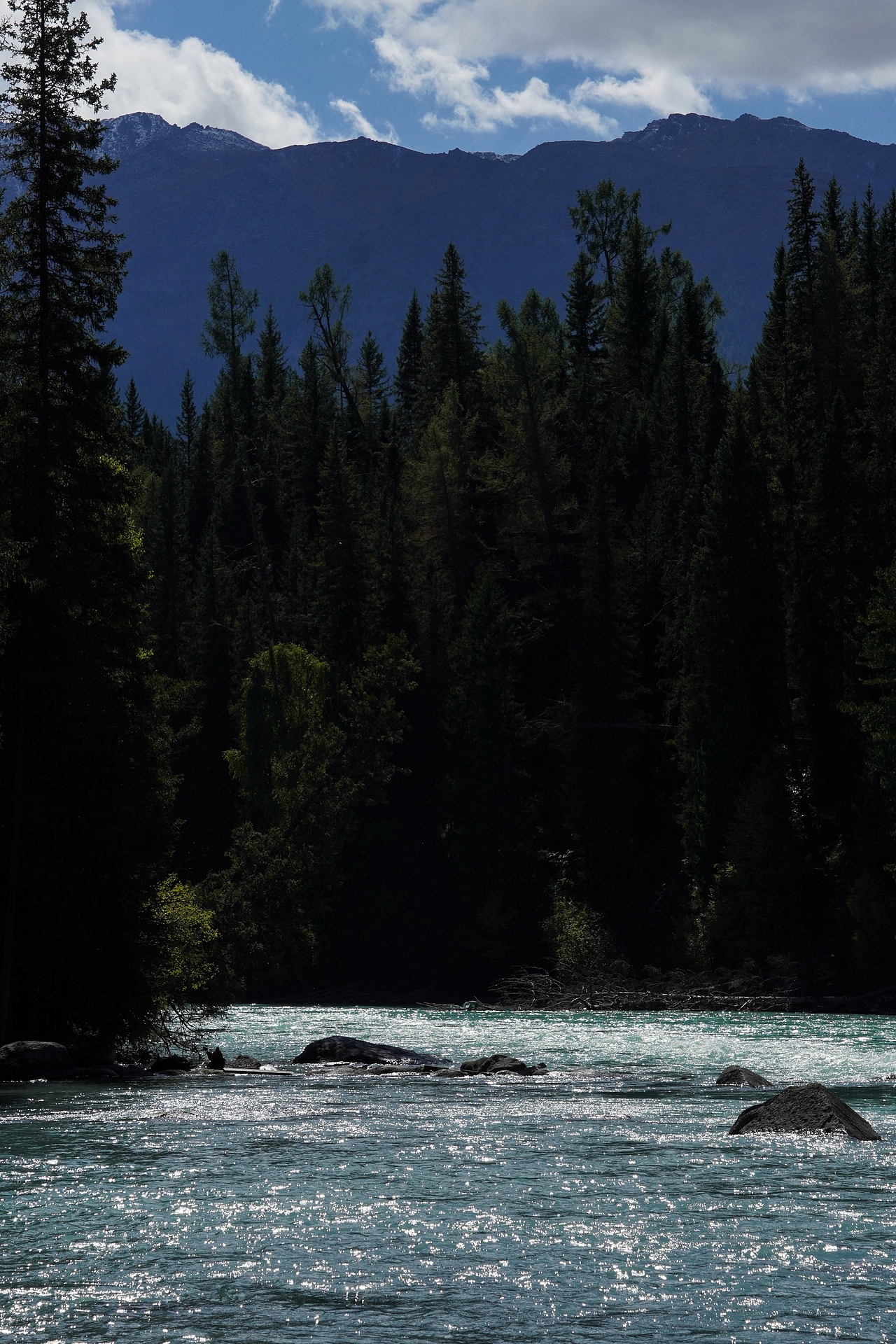 喀纳斯的湖水很好看