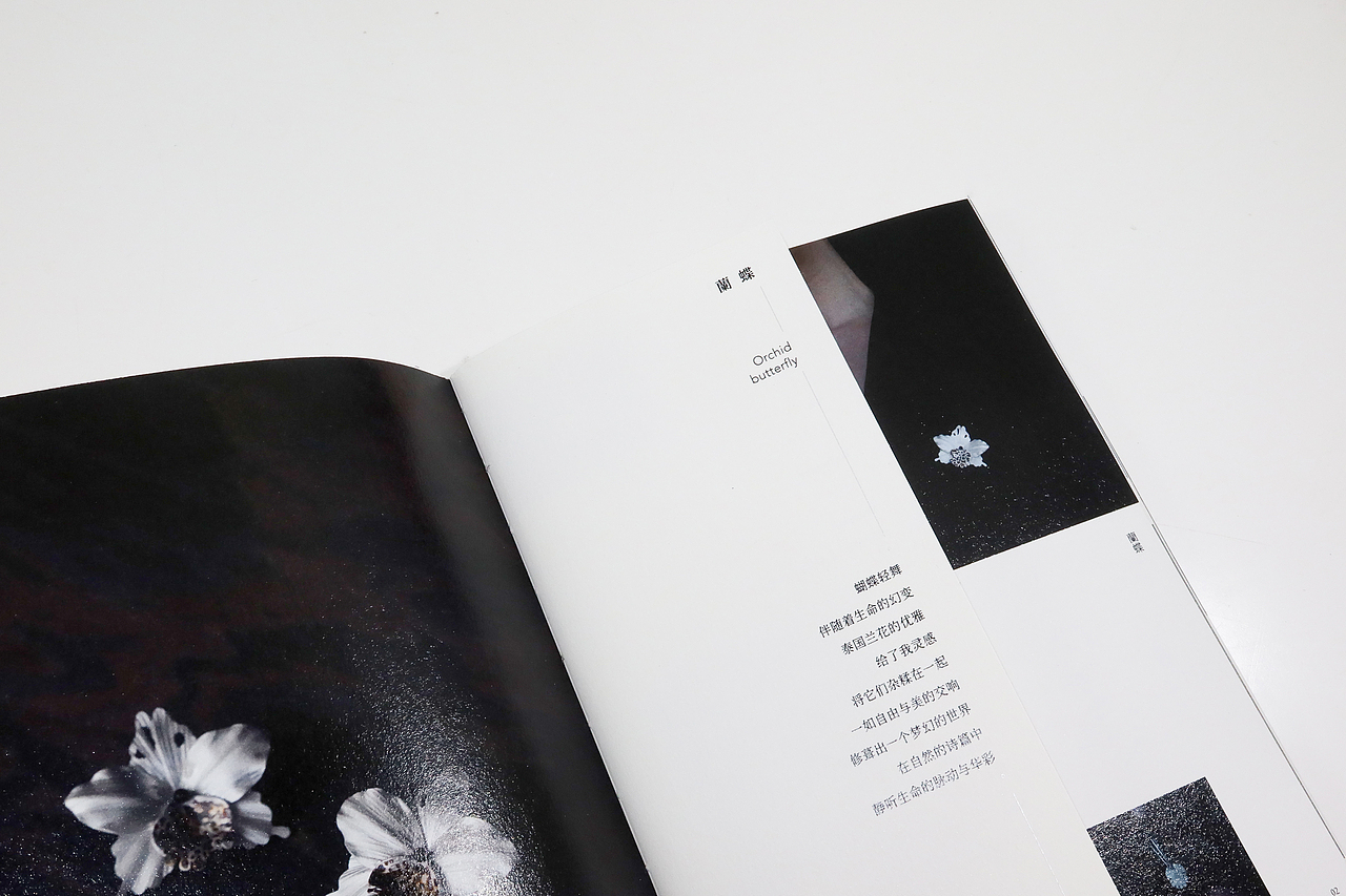 一欲·手作集（图ZMzc5MzcwNDg4） - 书籍/画册 - 站酷设计师合鸟习习原创素材 - 站酷ZCOOL