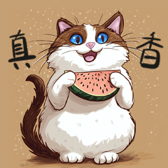 我的猫咪们的表情包