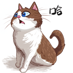 我的猫咪们的表情包