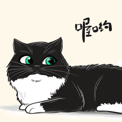 我的猫咪们的表情包