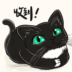 我的猫咪们的表情包