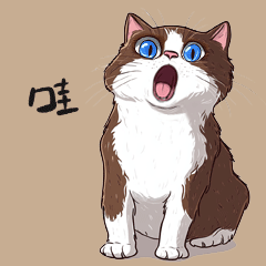 我的猫咪们的表情包