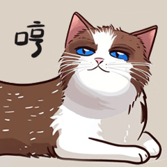 我的猫咪们的表情包